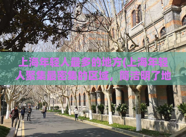 上海年轻人最多的地方(上海年轻人聚集最密集的区域，简洁明了地告诉读者文章内容)